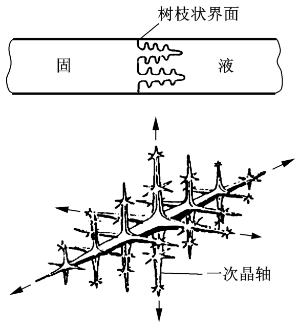 树枝晶的生长过程图片