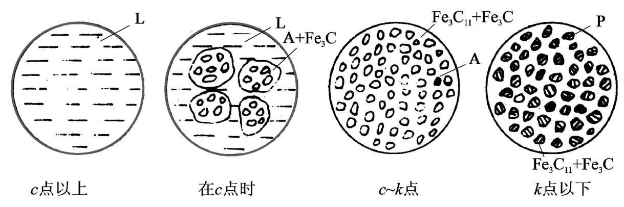 白口铁组织示意图图片