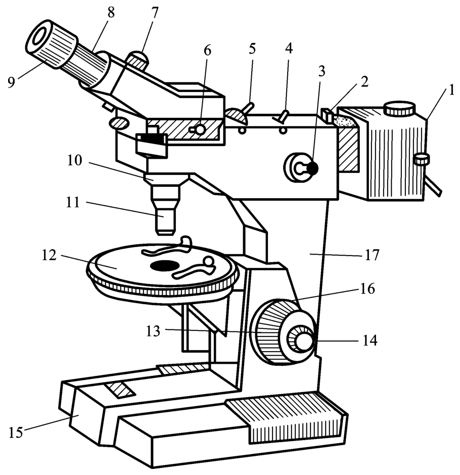 显微镜简单结构图图片